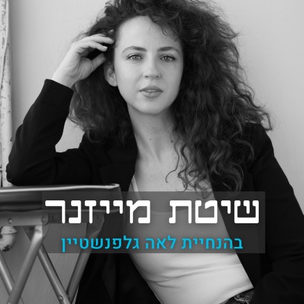 שיטת מייזנר